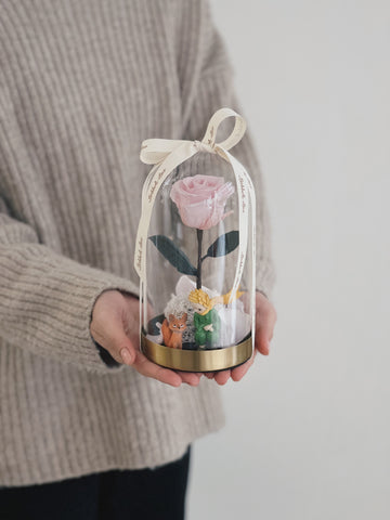 粉色永生玫瑰花置於玻璃盅罩內,小王子和狐狸裝飾。