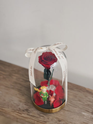 紅玫瑰在玻璃罩內,小王子和狐狸模型裝飾。