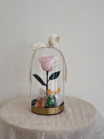 粉色永生玫瑰在玻璃罩內,小王子與狐狸模型裝飾。