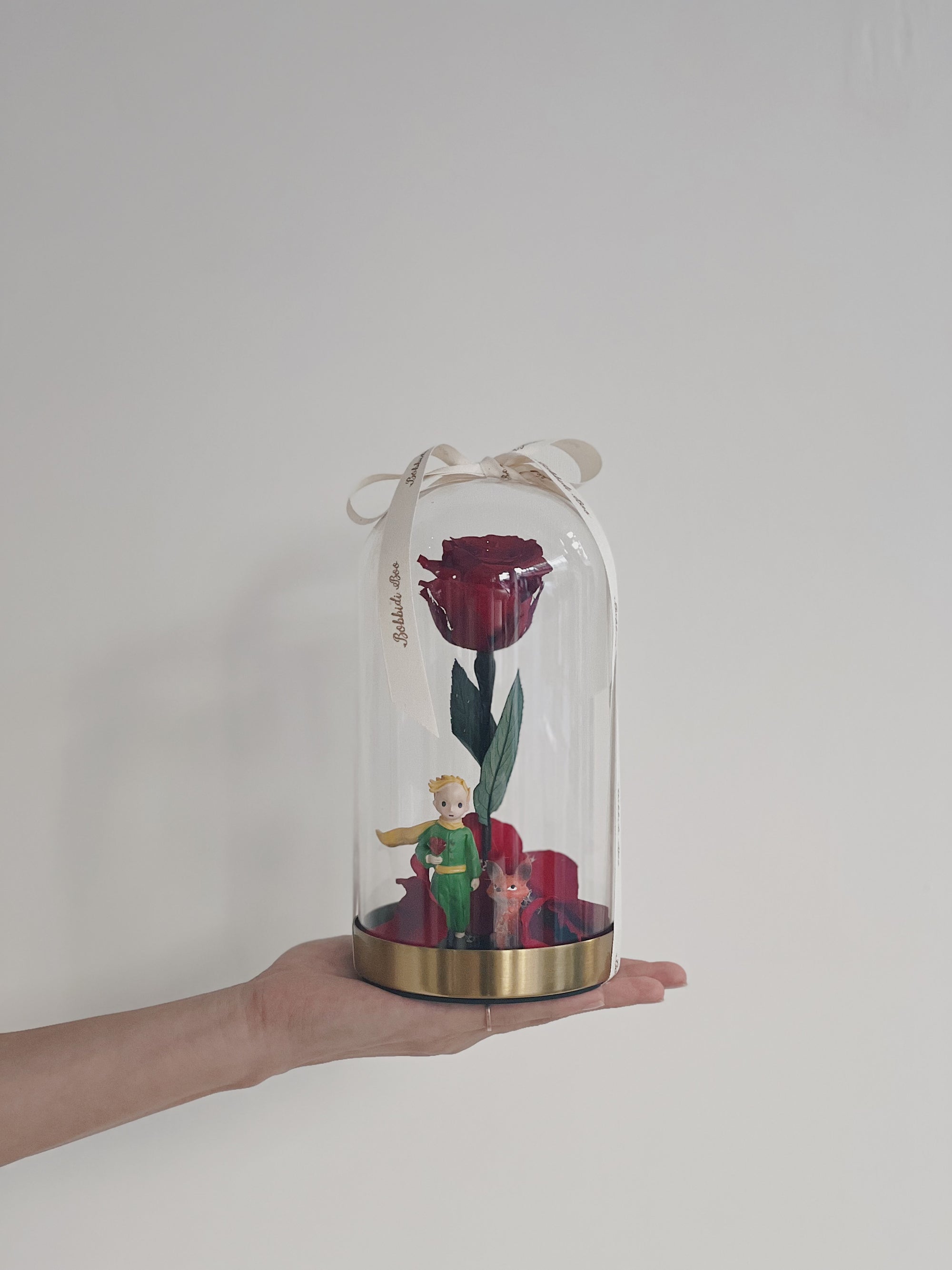 手托著玻璃罩,內有永生紅玫瑰與小王子模型。
