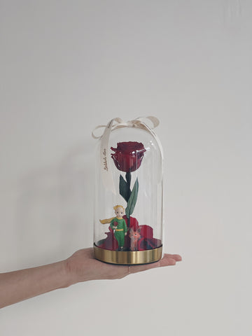 手托著玻璃罩,內有永生紅玫瑰與小王子模型。