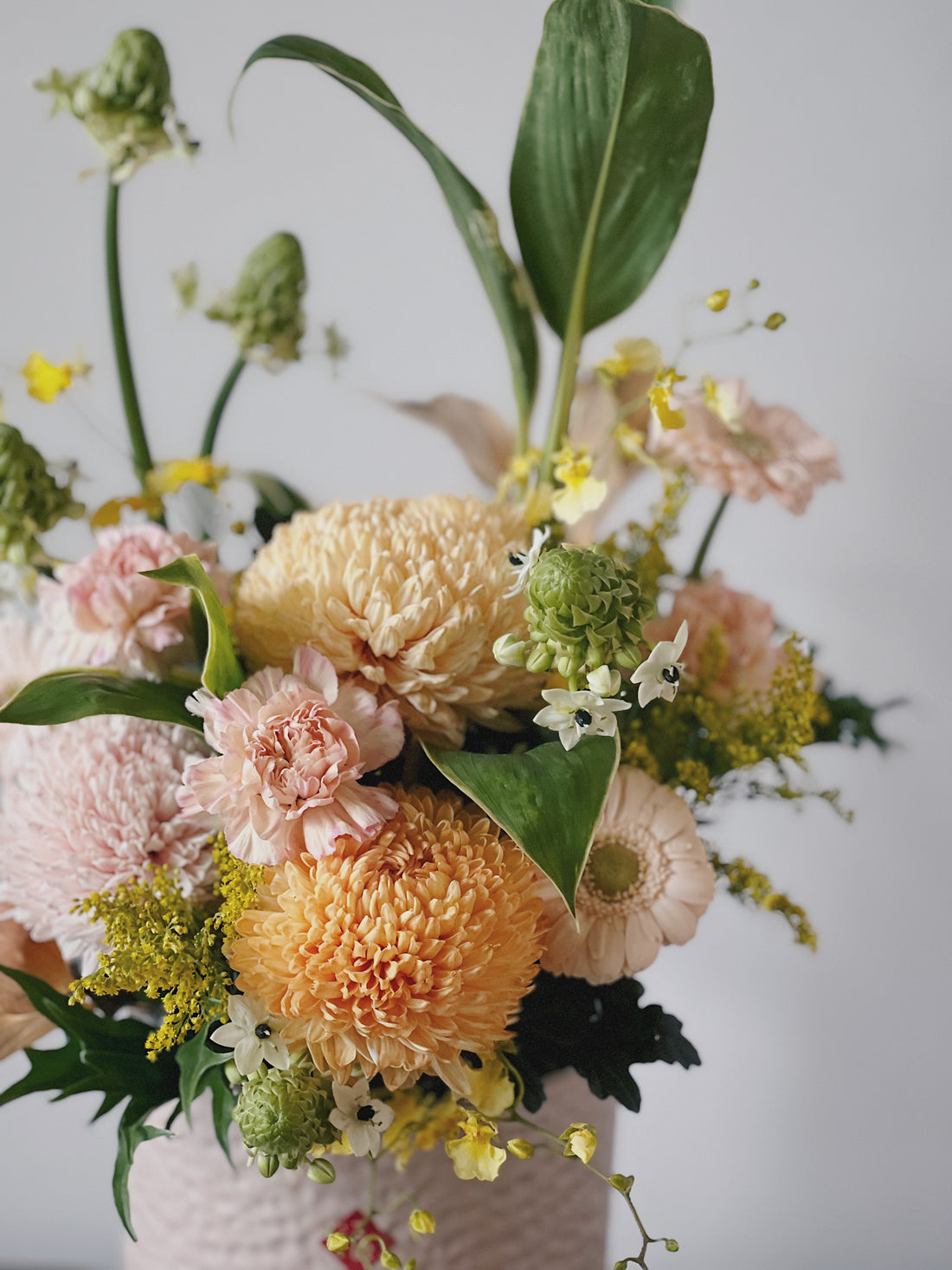【過年限定】金玉滿堂 新年鮮花盆花 一對兩盆