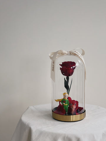 玻璃罩內有一朵永生紅玫瑰和小王子模型,放在桌上。
