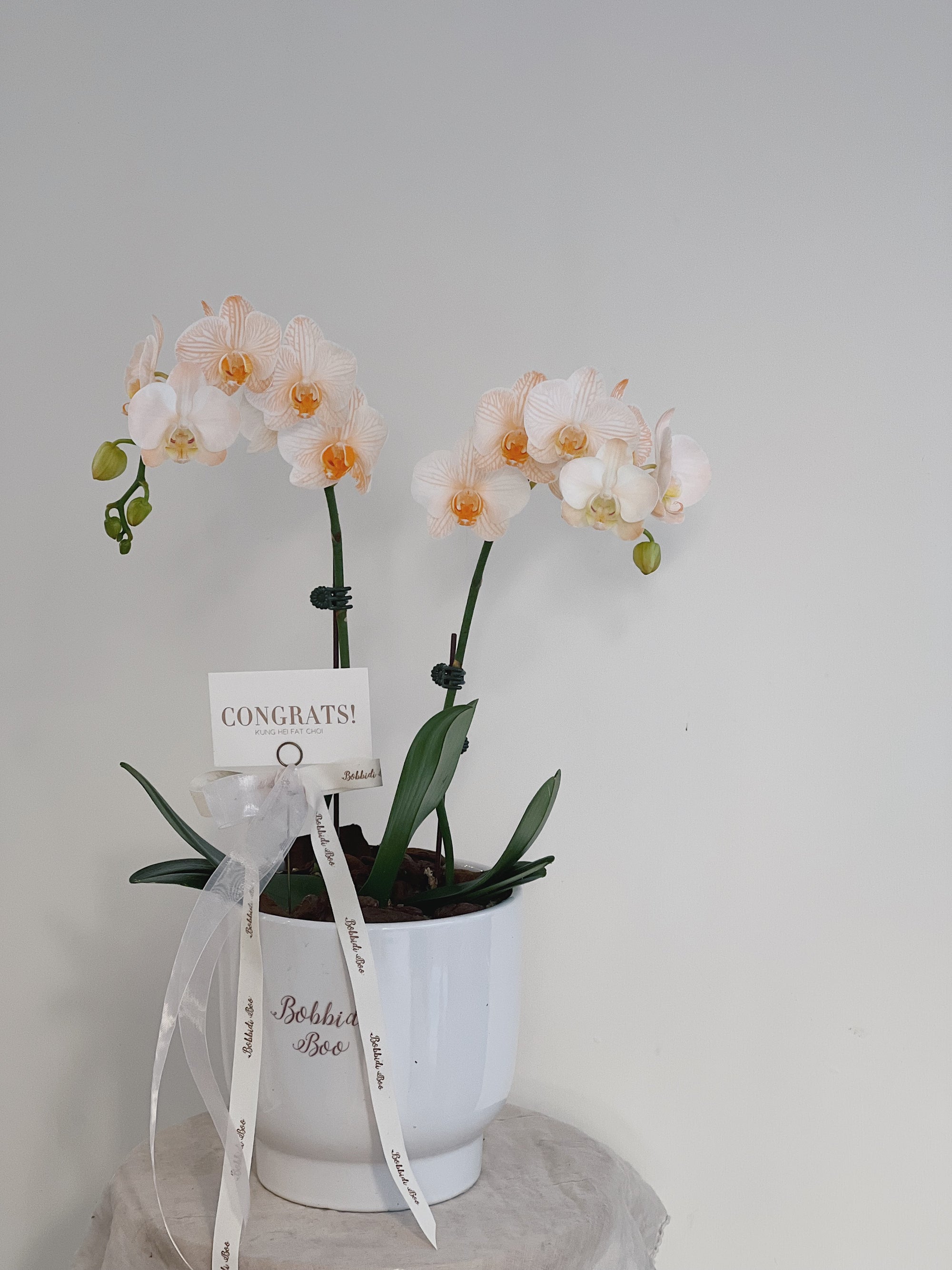 白色盆栽中的蘭花，有橙黃色花心，附有祝賀卡片和白色絲帶。