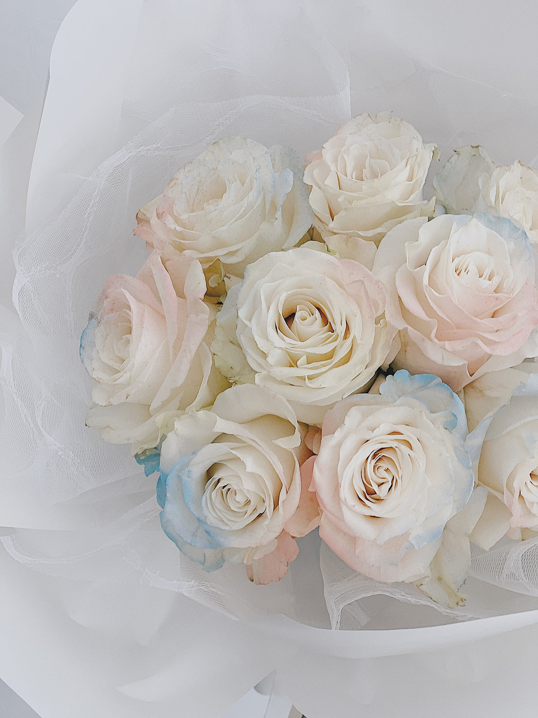 遇見了浪漫 進口雙色藍粉玫瑰花花束