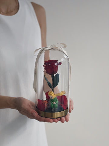 小王子：無可取代的他 永生紅玫瑰花玻璃盅罩